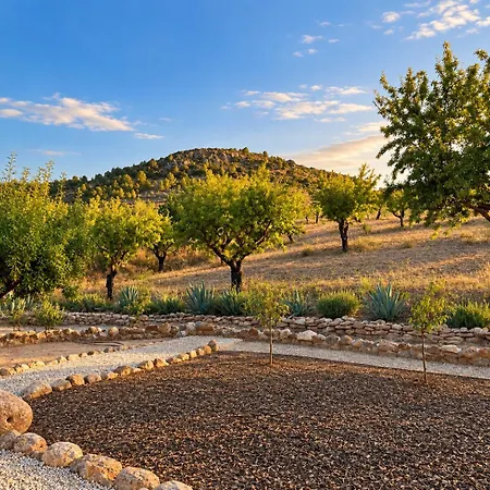 Bed & Breakfast Boutique Casa Clavi